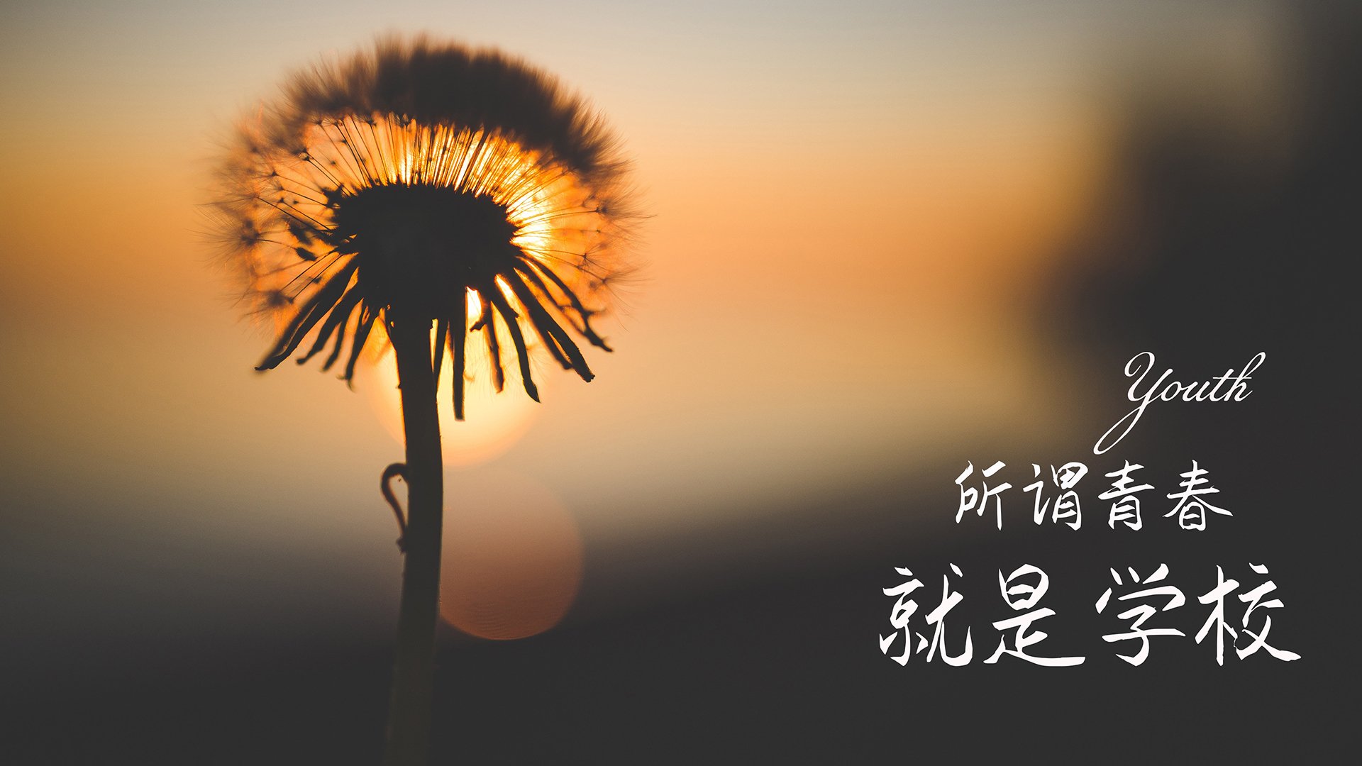 巴朗加国王篮板球争夺激烈，巴朗ap