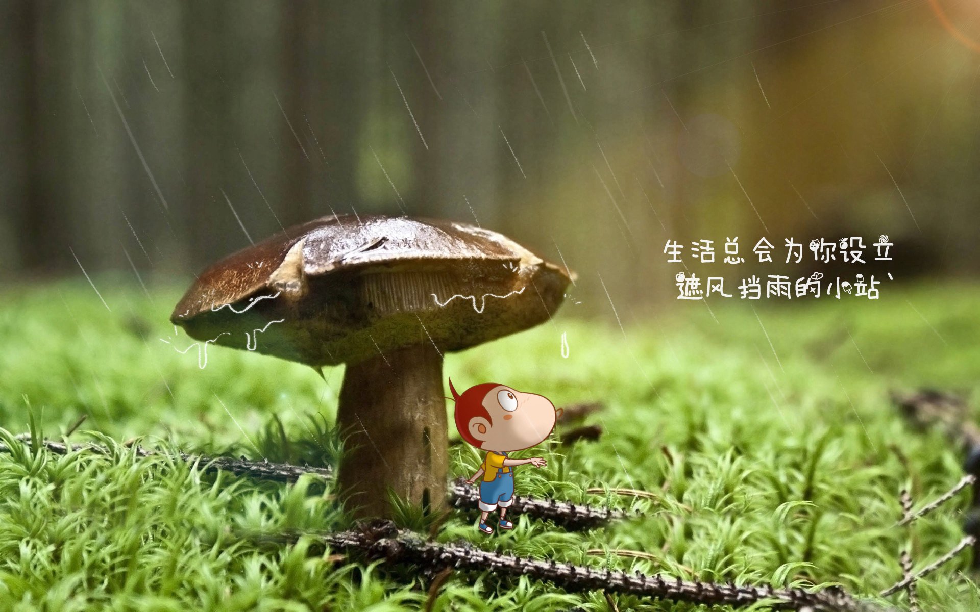 罗马客场击败乌迪内斯，佩雷拉破门制胜，罗马对阵乌迪内斯