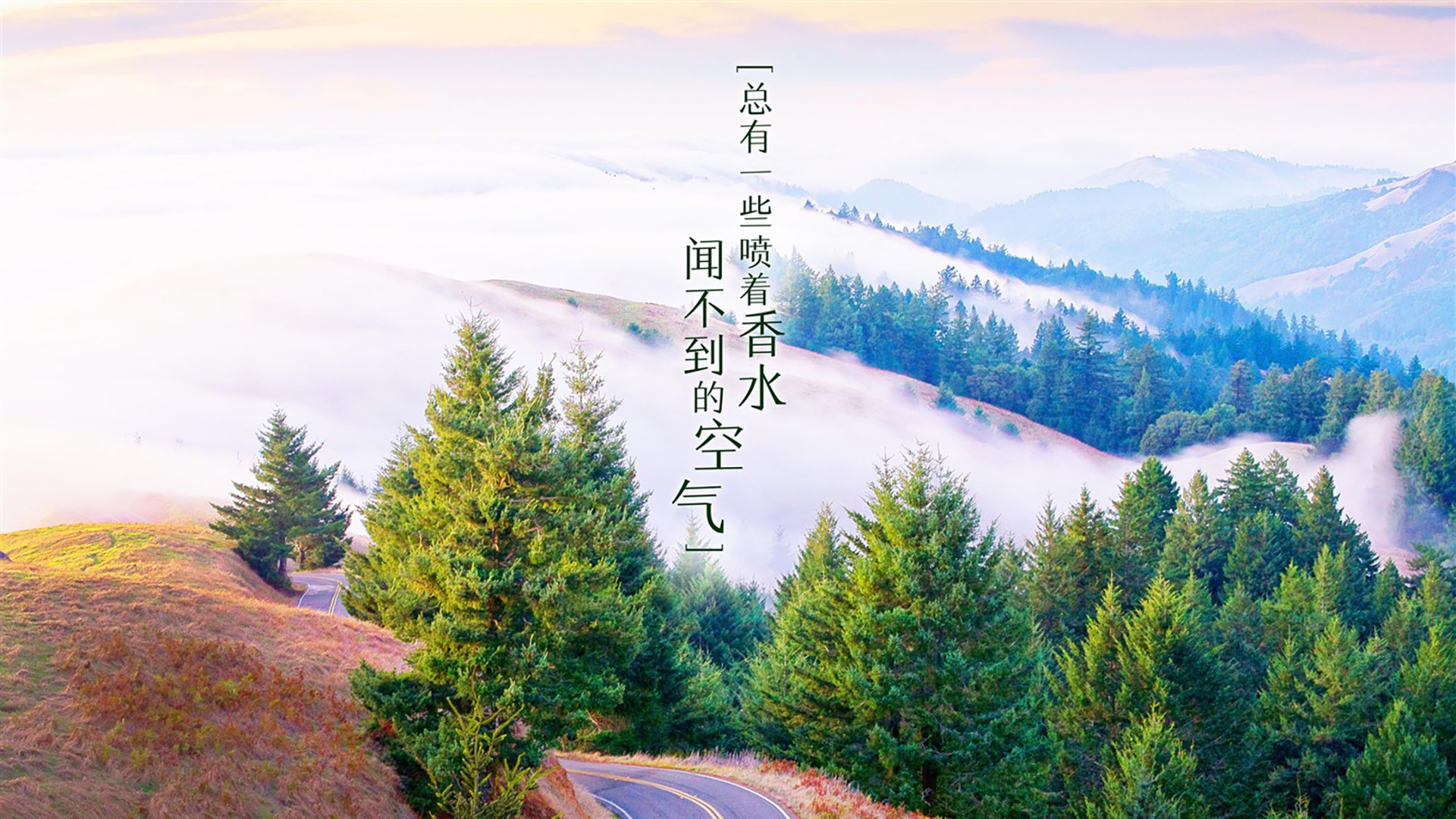 熊猫直播-“尼古拉斯·桑特基的精准罚球与领袖气质，帮助阿根廷美洲狮队屡创佳绩”