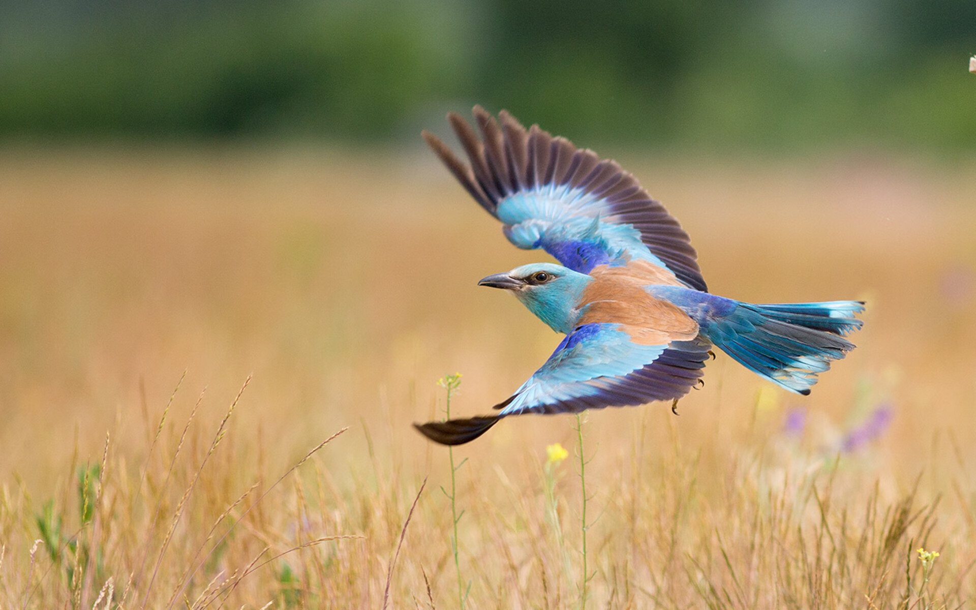 熊猫体育娱乐-男子国家队配置专项康复师团队强化恢复体系，国家队体能康复师