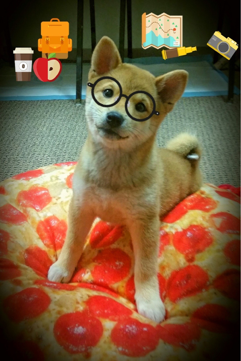 谷爱凌高难度动作挑战再创新高，谷爱凌接受采访视频